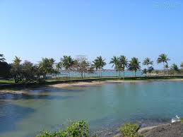images (5)