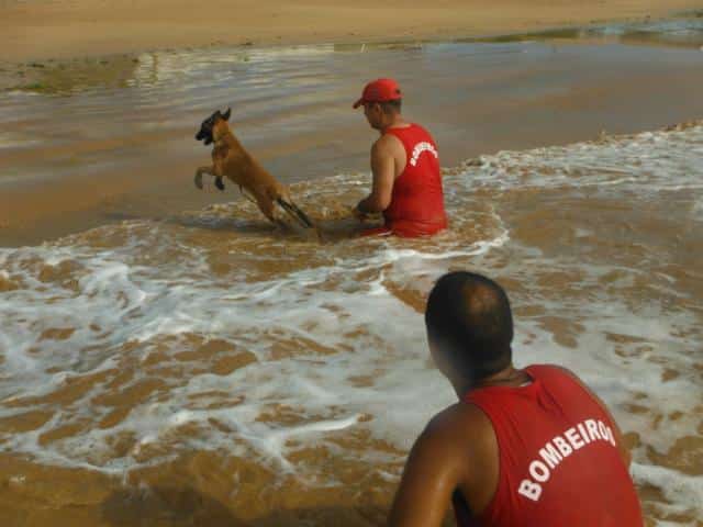 bombeiros