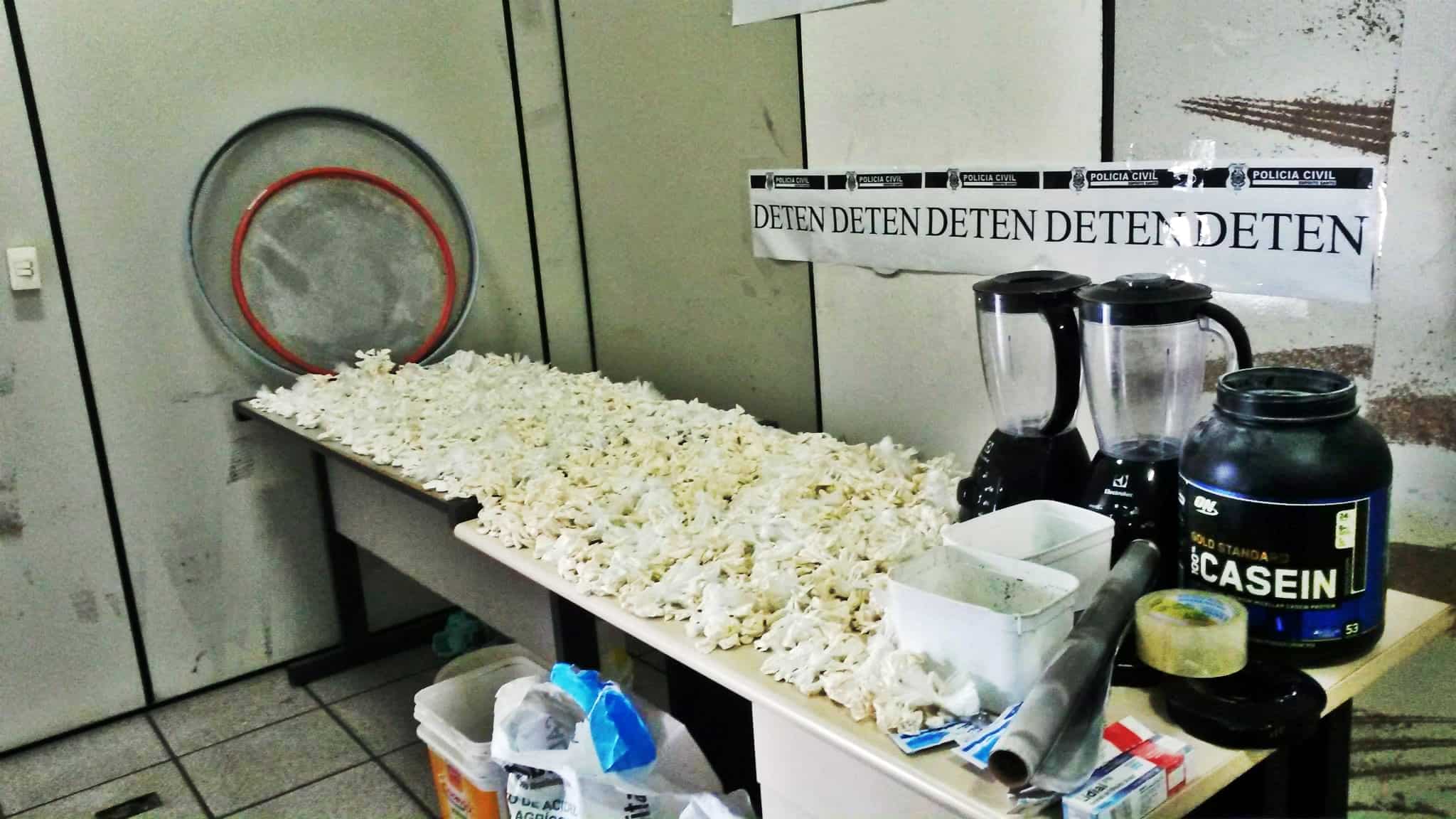 A polícia estava monitorando os passos da quadrilha e estava esperando o momento certo para agir.