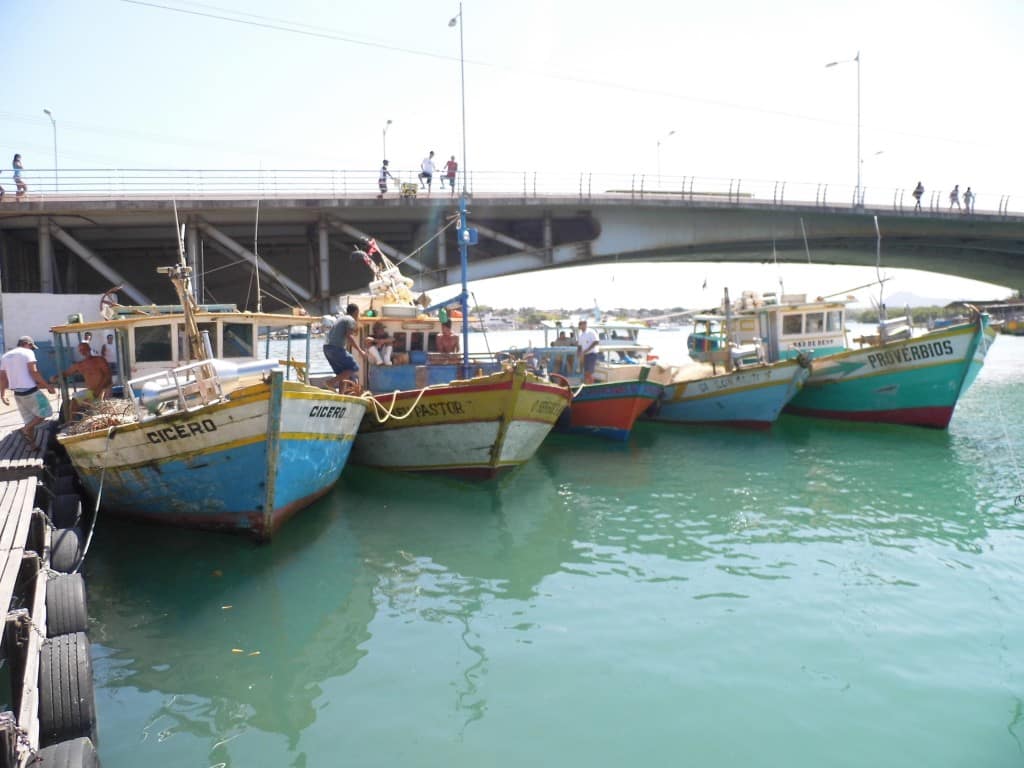 P1000177