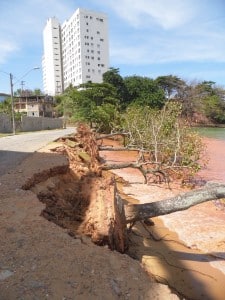 As árvores caídas foram retiradas hoje. Foto: João Thomazelli/Portal 27