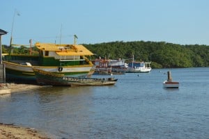 RESERVA DE CONCHA D'OSTRA (21)
