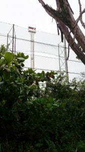 Wind2