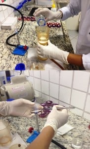 Foto: Arquivo/Projeto "Balneabilidade"