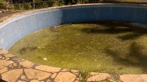 No pátio uma piscina com água parada. Foto: colaborador