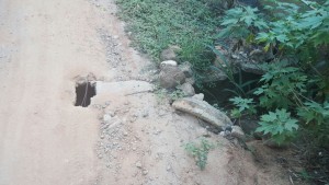 estrada cachoeirinha