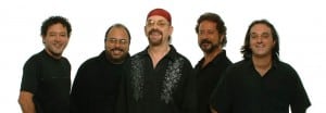 the fevers
