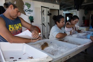 Degredo_230416_Fernando_Moraes-57