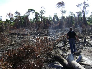 Foto: Ibama/ES
