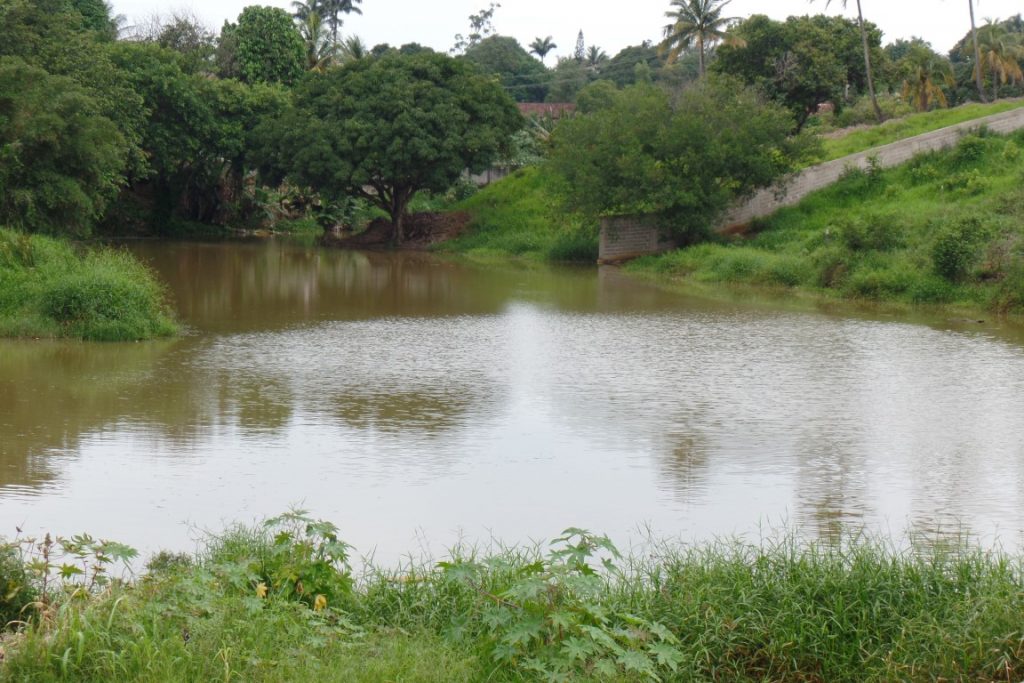 A lagoa foi criada há pelo menos duas décadas com a construção de uma barragem. Várias árvores circundam o espaço. Foto: João Thomazelli/Portal 27