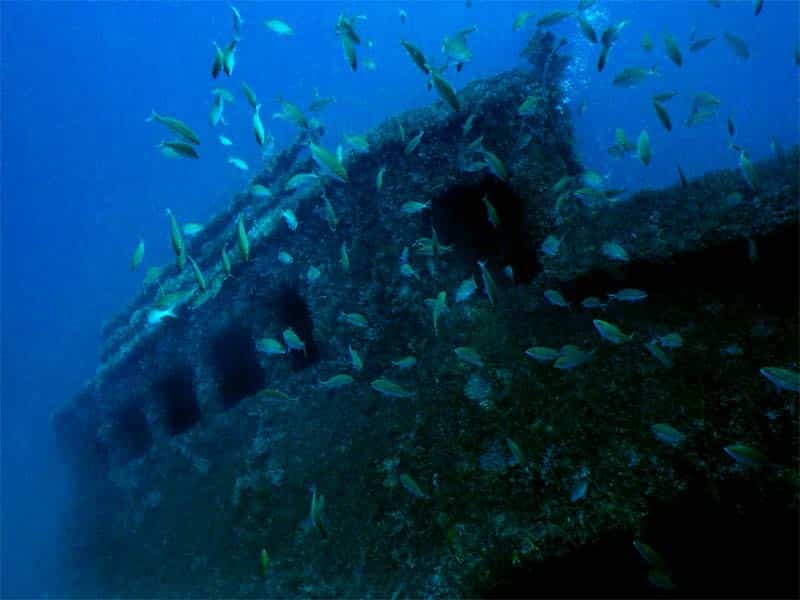 A mineira Bruna mergulhava próximo ao naufrágio artificial Victory 8b, a pouco mais de dez quilômetros da costa de Guarapari.